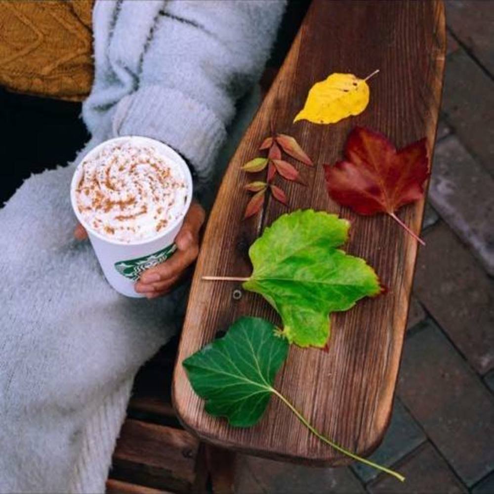 Meet your Posher, Ruthie